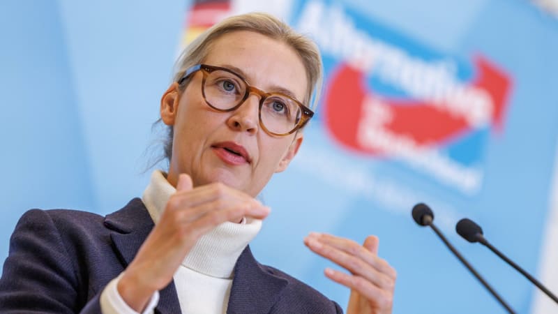 Německá AfD má nejvyšší podporu v historii. Nenabízí žádná skutečná řešení, říká expertka.