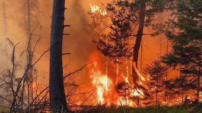 Trest za zapálení Českého Švýcarska je opět ve hře: Odvolací soud zrušil osvobozující verdikt