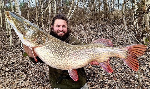 Zimní královna a 18kg rybářský rekord. Byl to boj se štikou o délce 117 cm