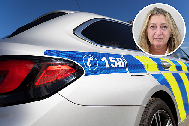 Způsobila nehodu a zmizela. Po ženě ze Žatce marně pátrají desítky lidí