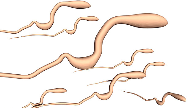 Potěšení, které pomáhá. Častější ejakulace může podpořit plodnost