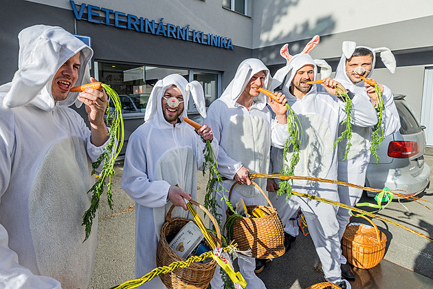 Slavilo se Velikonoční pondělí. Tradice drží jen část lidí, někde ale koledníci překvapili