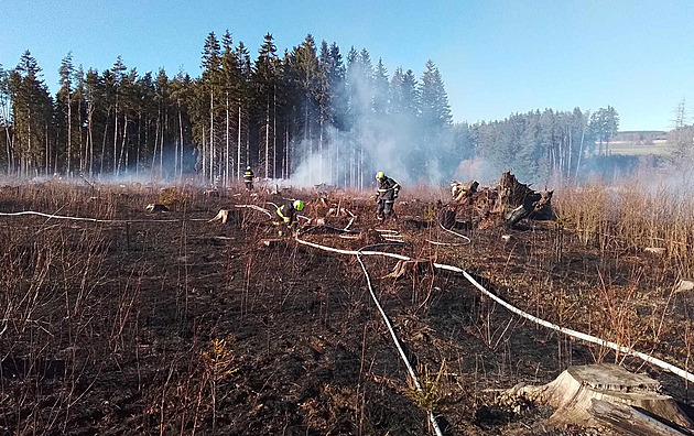 Velký požár lesa na Žďársku. Lidé utíkali před plameny, v akci byly desítky hasičů
