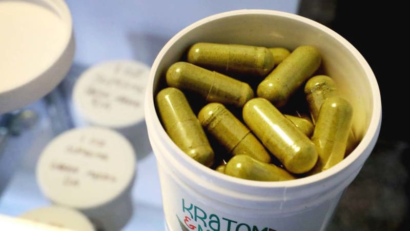 Největší záchyt v historii Česka. Celníci v Brně zadrželi 800 kilo nelegálního kratomu