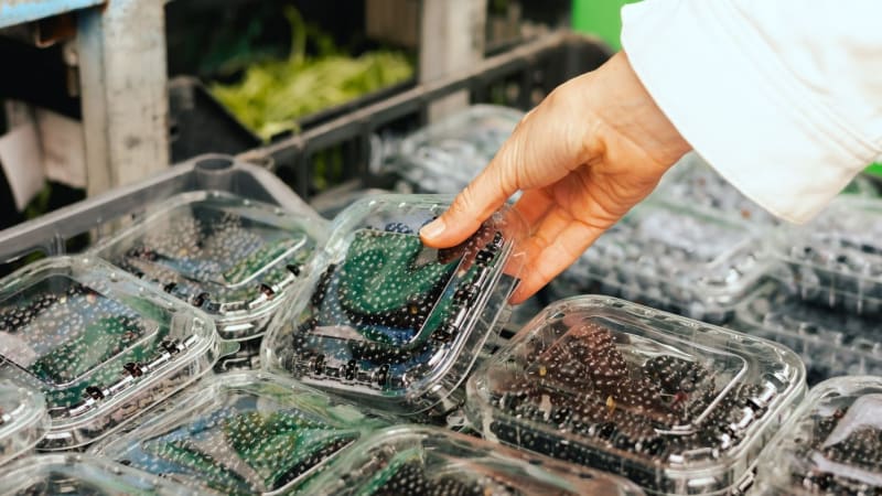 Pozor na nebezpečné ostružiny. Inspekce v nich našla zakázané množství jedovatých pesticidů