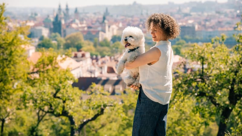 GLOSA: Právo na bydlení v Praze dejme do Ústavy! Paní Alici se uleví