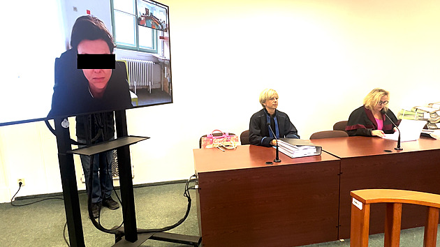 Zlomeniny i jehla v lýtku. Matka viněná z týrání dětí se vyhýbá soudu, zaznělo v síni