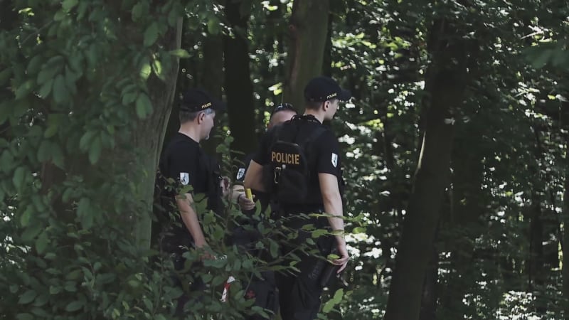 Detaily zmizení maminky Jany: Policie mimořádně odhalila nové informace. Popsala čtyři verze