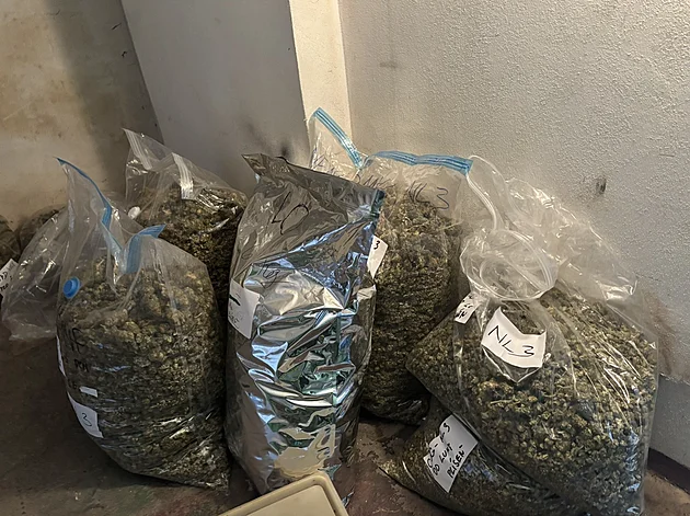 Kanabinoidy, nelegální laboratoře i drahé kovy. Policie odhalila detaily akce Korund