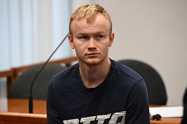 Svému šéfovi dupal na hlavu, brutálně ho ubil. Soud Moldavanovi snížil trest