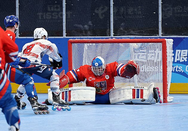 Čeští inline hokejisté berou stříbrné medaile, ve finále MS podlehli Francii